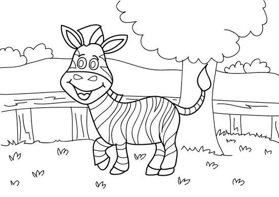 Zebra kolorowanki